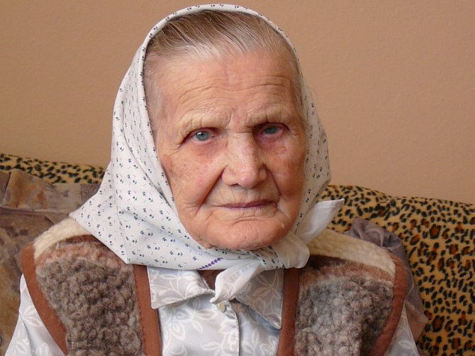 Nejstarší šumická rodačka Anděla Hřibová 23. dubna 2016 oslaví 105. narozeniny.  