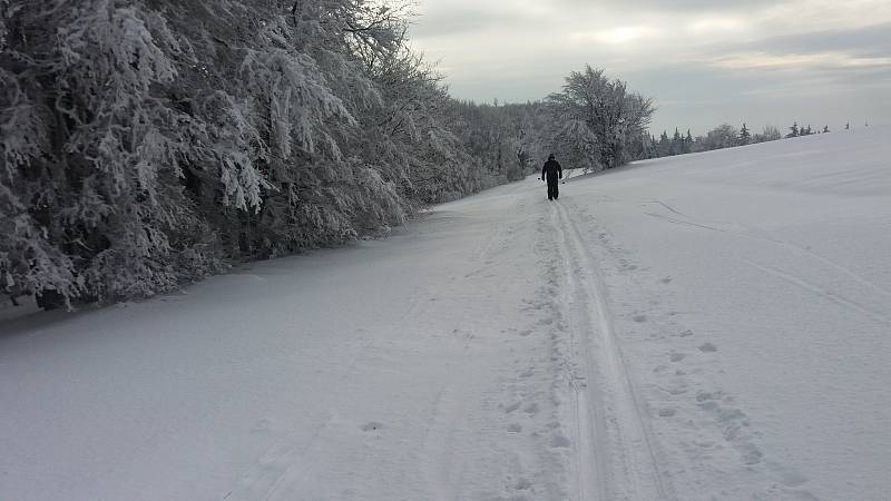 Největší areál pro běžkaře v našem regionu? Určitě nad Novou Lhotou.