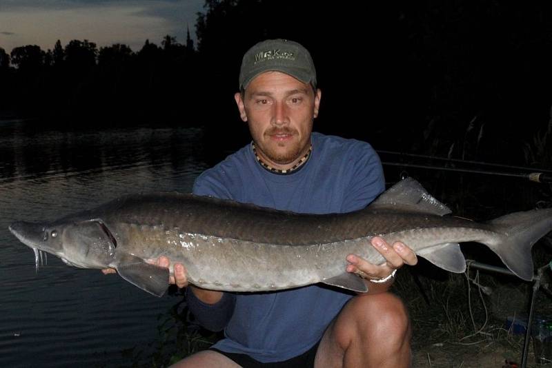 Soutěžní číslo 80. Petr Klimeš, jeseter, 117 cm a nevážen.