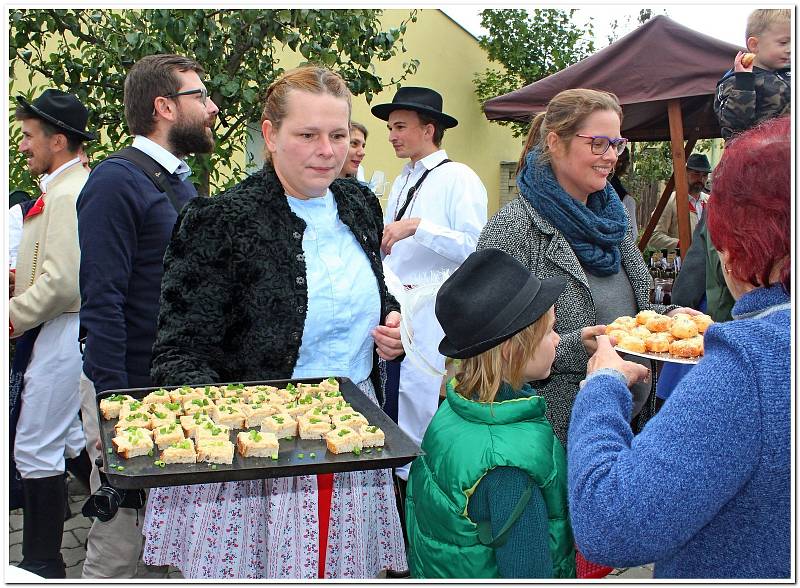 Hroznové bobule, víno, burčák, koláčky i kulturní program zaujaly na Modré milovníky vína i folkloru.