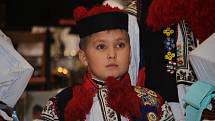 Na Krojovém plese ve vlčnovském Klubu sportu a kultury představili příštího krále. Tím bude devítiletý Josef Pavelčík.