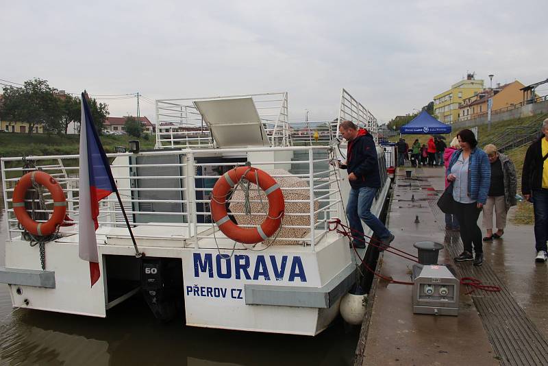 Plné muzikantské lodě vyplouvaly na Slavnostech vína každou půl hodinu. Za tu dobu s návštěvníky obkroužily řeku Moravu za doprovodu kapel Frajeři, Duo Graž a Vencas Group.