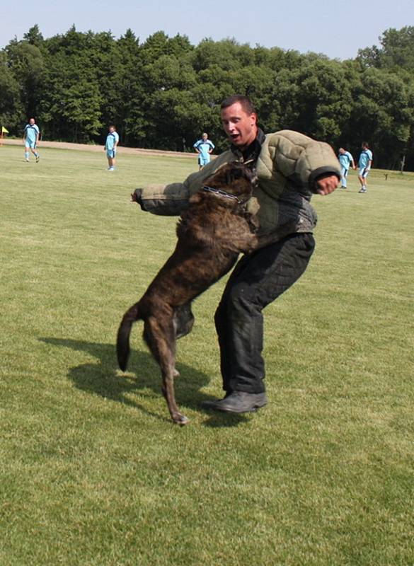 Policejní psovodi předvedli na hřišti ukázku výcviku psů.