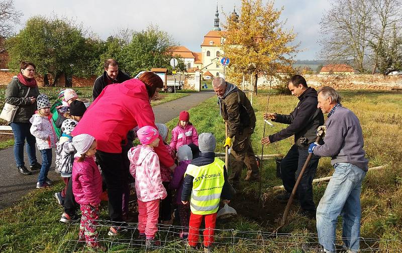 Děti z velehradské mateřinky jablůňky v roce 2019 sadily a nyní je kresbičkami ozdobily.