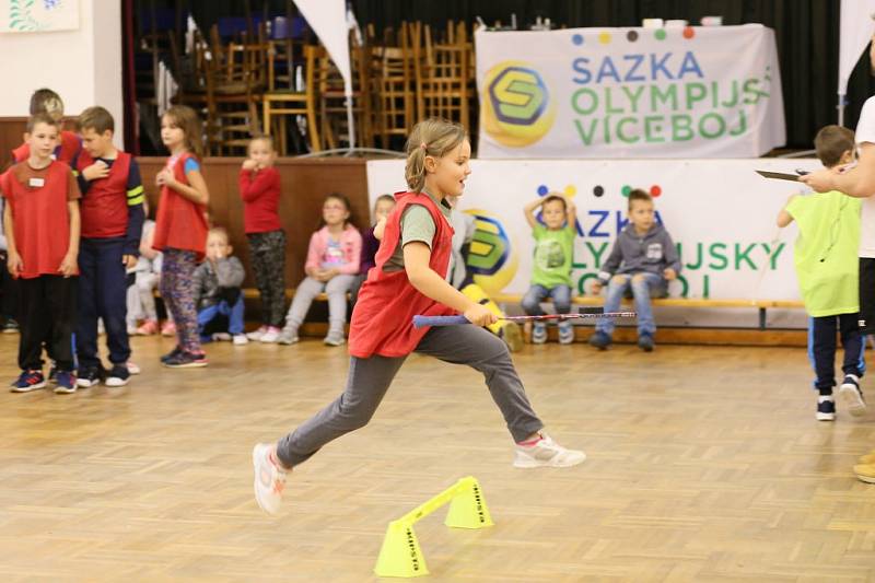 V Horním Němčí sportovali olympionici. Nové doskočiště pokřtila Šárka Kašpárková