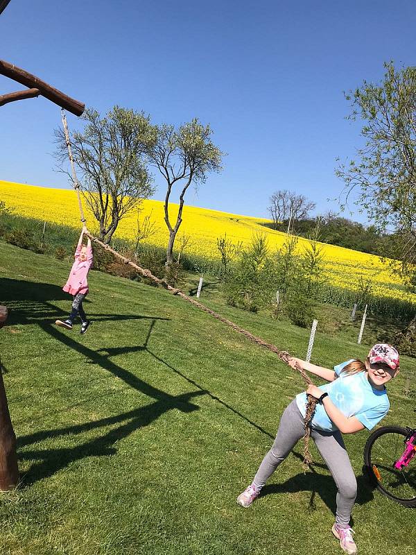 Děti posílaly v době dálkové výuky do školy fotopozdravy.