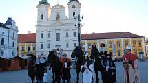 Tříkrálový průvod s koňmi i velbloudem křižoval Uherským Hradištěm.