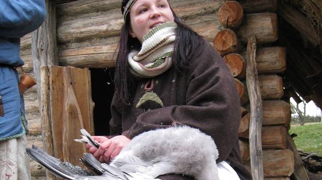 Členka spolku Velesův lid Lenka Ondráčková v Modré škubala peří z husy a ukázala i boty z ovčí kůže.