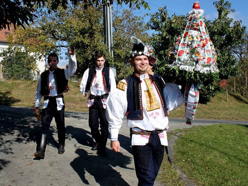 TRAPLICKÉ HODOVÁNÍ. V soukolí kolotoče hodové tradice na Slovácku se o víkendu ocitly i Traplice, které v neděli vyvrcholily obchůzkou s právy po dědině.