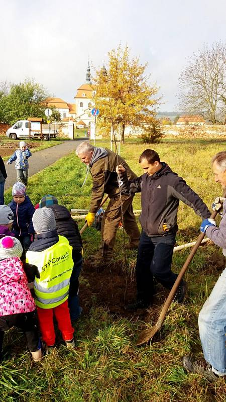 Před Velehradem přibyla nová jabloňová alej a dva mokřady.