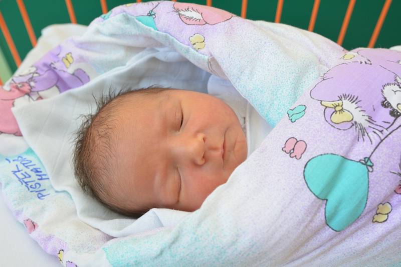 Marek Píštěk, 5. 6. 2017, 48 cm, 3450 g, Ostrožská Nová Ves