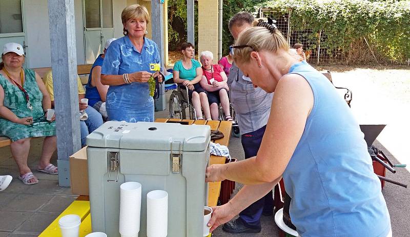 Na Velehradě uspořádali první ročník Skleníkového vinobraní.