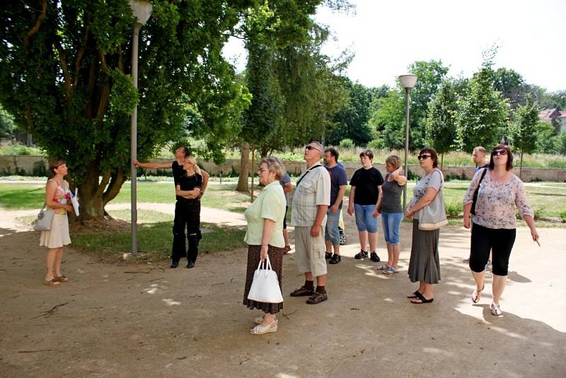 Komentované prohlídky s názvem Toulky barokní zahradou oživily zájem veřejnosti o historii klášterních zahrad. 