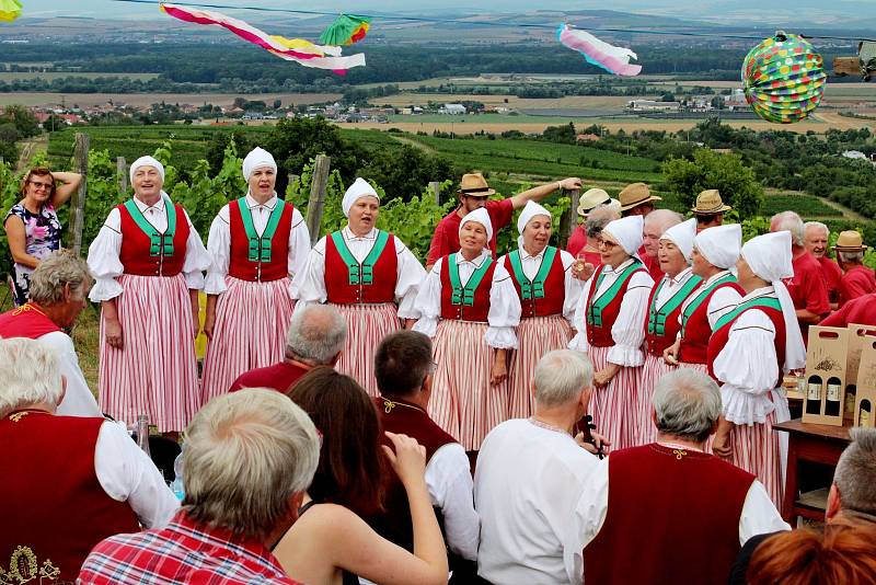 Zarážení hory v Polešovicích 2019