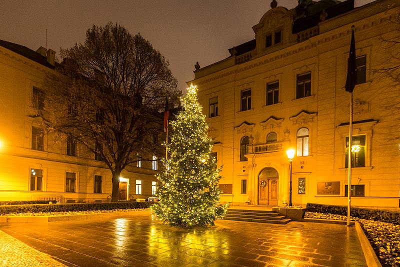 Vánoční strom - Úřad vlády ČR.