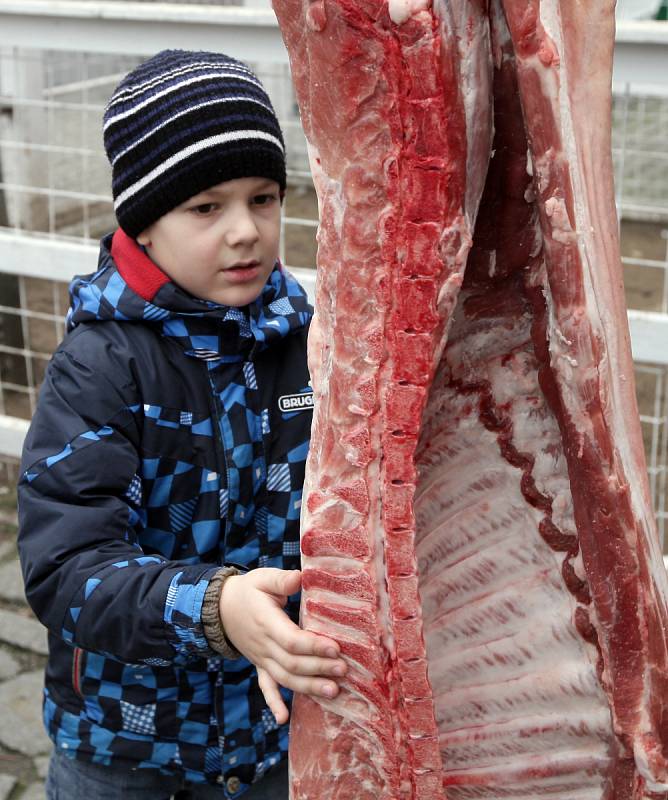 Letenské prase aneb zabijačka v muzeu. Tradiční slavnost spojená s ukázkou práce s výkladem řezníka Tomáše Hudery při staročeské zabijačce. Národní zemědělské muzeum.