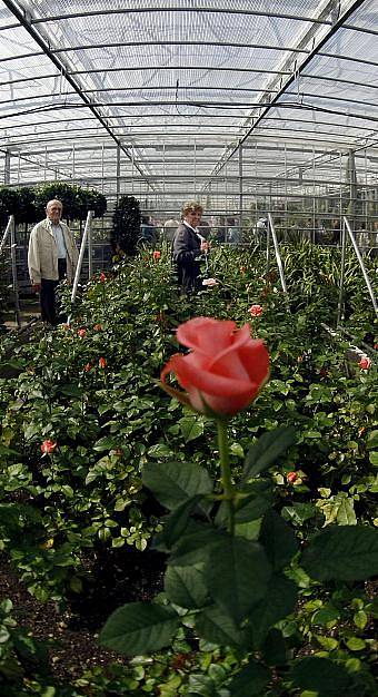 Pražský hrad zpřístupnil tzv. produkční zahrady, které slouží jako zázemí hradních zahradníků a místo, kde se pěstuje 72 druhů okrasných rostlin pro výzdobu Pražského hradu při protokolárních akcích. 