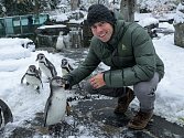 Kajakář Ondřej Tunka s tučňákem Buřtíkem. Návštěvníci mládě v hejnu dobře poznají podle popelavého zbarvení, přičemž typický šat dospělců nabude až v létě.