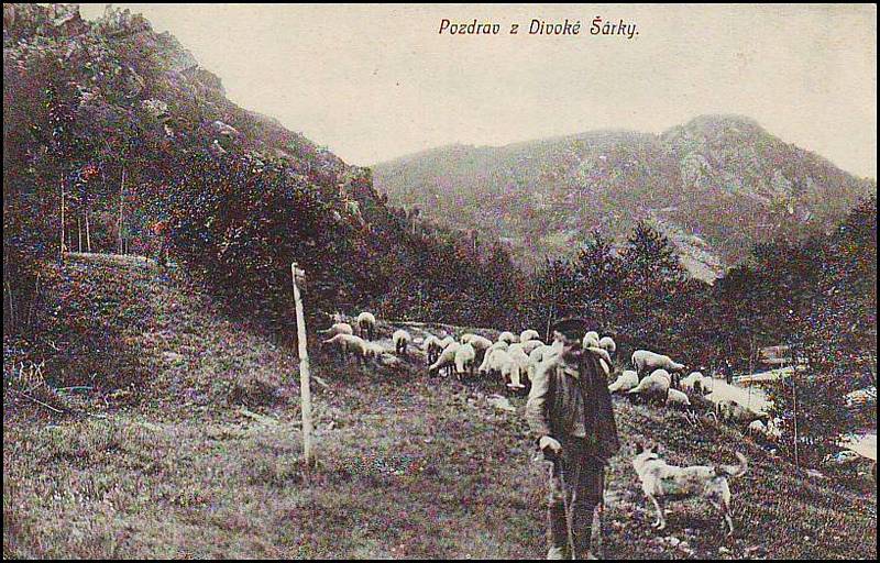 Historická fotografie Divoké Šáry z roku 1910.