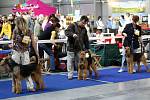 Několik set chovatelů a milovníků psů se o tomto víkendu zúčastnilo velké mezinárodní výstavy psích plemen na výstavišti v Letňanech. 