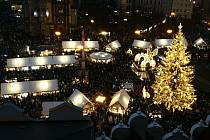 Na Staroměstském náměstí bude letos zářit strom z Českolipska. 