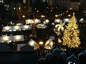 Na Staroměstském náměstí bude letos zářit strom z Českolipska. 