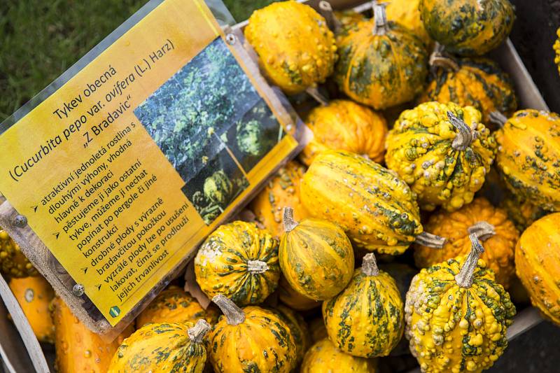 V pražské trojské botanické zahradě se konal Dýňový podzim 2016.