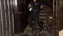 Městská policie při noční kontrole ve Vrchlického sadech, pověstném Sherwoodu u hlavního nádraží.