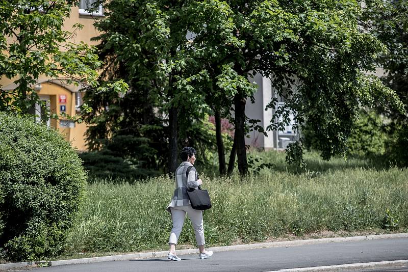 Městská část Praha 8 se dlouhodobě potýká s neposekanou trávou na jejích území. Konkrétně na sídlišti Troja, nad botanickou zahradou, se začalo 23. května sekat, ale na většině ploch zůstávala vysoká tráva.