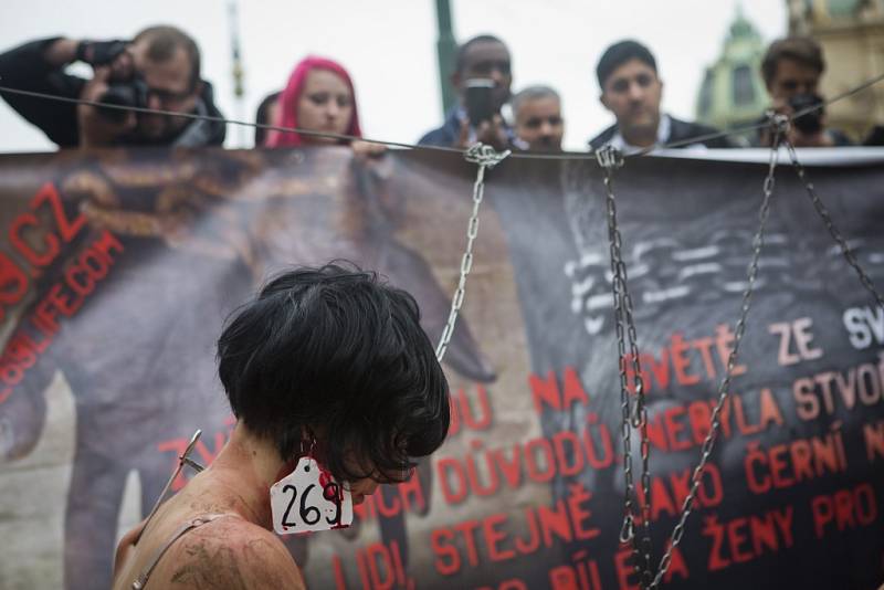 Akce s názvem Veřejná porážka, kterou aktivisté hnutí 269 protestovali proti způsobu zacházení se zvířaty ve velkochovech, proběhla 26. září v Praze.