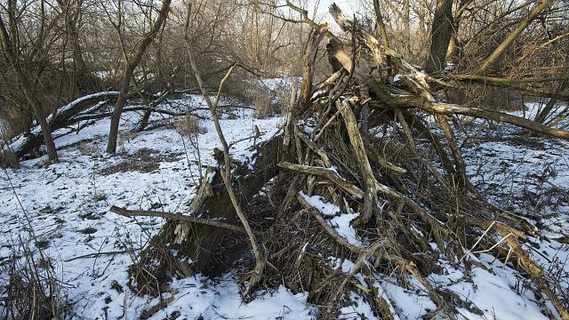 Území na hranici Modřan a Komořan by mělo být ponecháno jako záplavové.