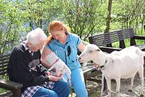 Terapie se zvířátky v domově seniorů Háje.
