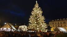 V Praze začal advent. Na Staroměstském náměstí rozsvítili strom