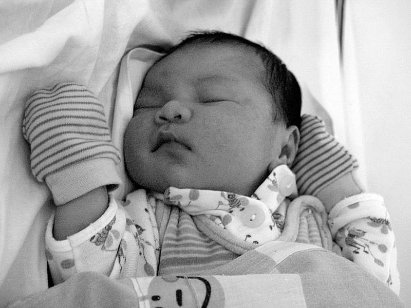 Nguyen Phi Hung, 3. 1. 2009, 49 cm, 4170 g, Fakultní Thomayerova nemocnice