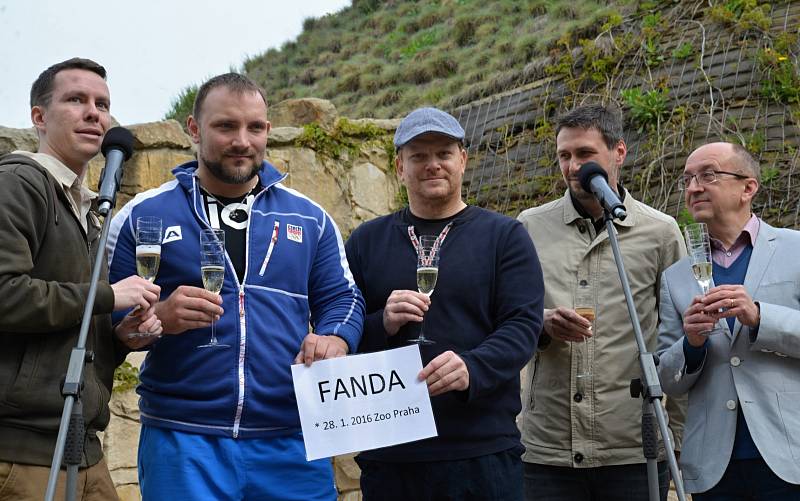 Vše nejlepší přišli popřát malému hrochovi také český reprezentant ve vzpírání Jiří Orság, náměstek Zoo Praha Jiří Malina, Karel Vančura – ředitel firmy IPODEC, která je dlouholetým sponzorem chovu hrochů a Ondřej Kotek ze Zoo Praha. 