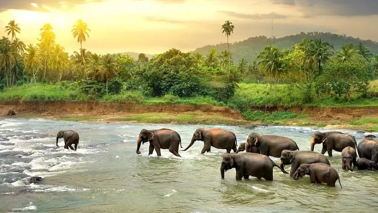 Vydejte se s Klubem cestovatelů na Srí Lanku.