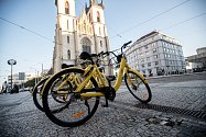 Bikesharing v podobě žlutých kol Ofo začal 16. října na pražském Strossmayerově náměstí.