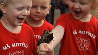 OBRAZEM: Ve skleníku Fata Morgana se budou líhnout motýli před zraky lidí -  Pražský deník