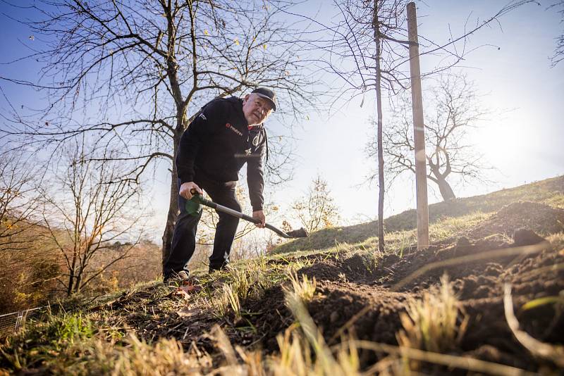 Karel Loprais vysadil svůj strom v pražské botanické zahradě.