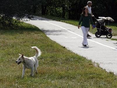 Jako místem možného "Hydeparku" se uvažuje o Parukářce na pražském Žižkově.