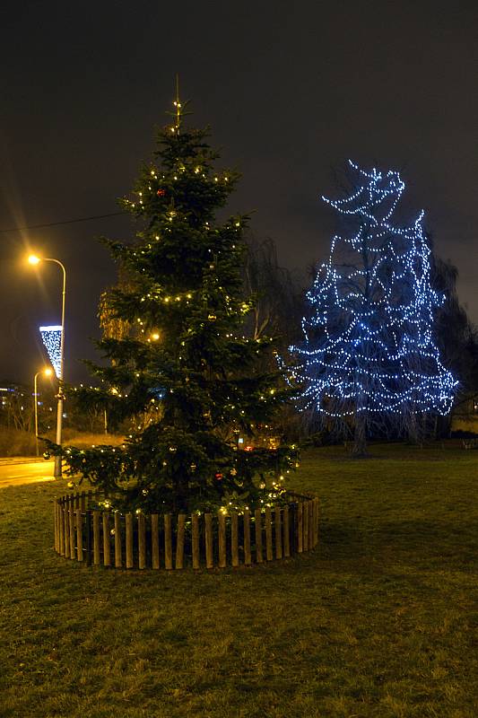 Vánoční strom - křižovatka Patočkova - Bělohorská v Praze.