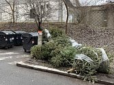 Nevyhazujte vánoční stromky do popelnic, prosí Pražské služby.