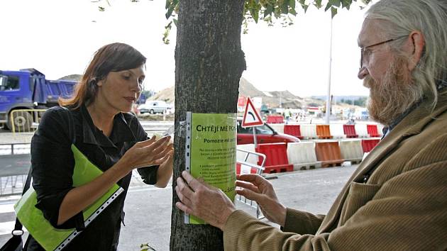 DALŠÍ OBĚT BLANKY? Ač má tunel Letné od dopravy ulevit, město chce ulici Milady Horákové rozšiřovat. To by znamenalo konec stromořadí, které chrání obyvatele před prachem z rušné ulice.