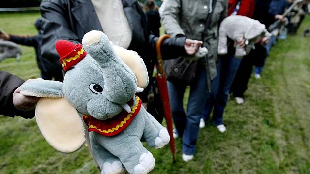 Poklepáním na základní kámen (slona) byla slavnostně v pražské zoo zahájena výstavba nového pavilonu slonů a hrochů. 