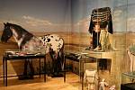 Národní muzeum otevírá 8. prosince 2017 v Náprstkově muzeu novou výstavu Indiáni