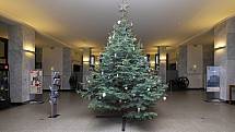 Vánoční stromek v Národním technickém muzeu v Praze.