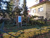 Spadlý strom v Klánovicích zranil dvě děti.