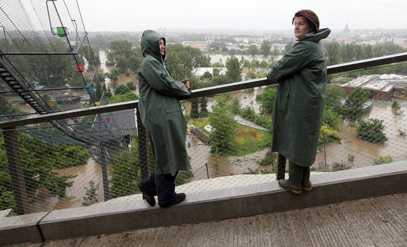 Povodně v Praze – Troji u Pražské zoo v pondělí 3. června. 