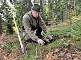 Lesníci letos na jaře vysázejí přes 133 nových stromů. Nejvíce v Běchovicích, Hodkovičkách a také v Chuchli. Ilustrační foto.