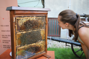 Národní zemědělské muzeum na úterý připravilo akci pro všechny milovníky medu a včelařství.